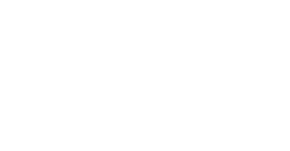 The Ritz Academy | Lake Charles, Louisiana 